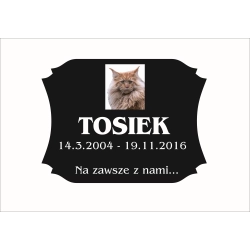 nagrobek dla zwierząt - tablica dla kota + zdjęcie